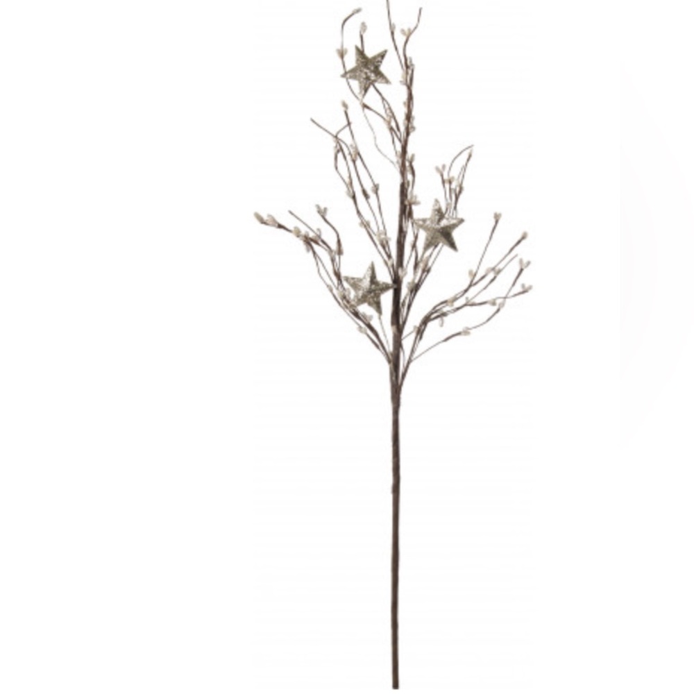 New Silver Pip Berry Stem With Stars